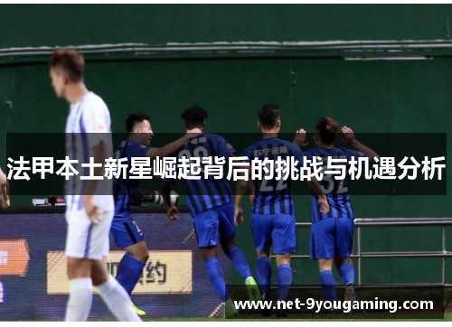 法甲本土新星崛起背后的挑战与机遇分析